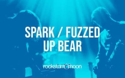 Spark | Fuzzed up Bear